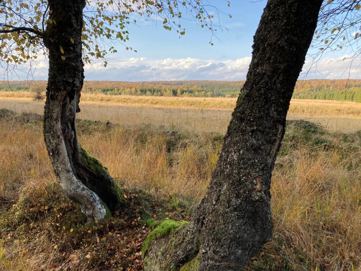 Homestay Le Relais Du Moustier Grune