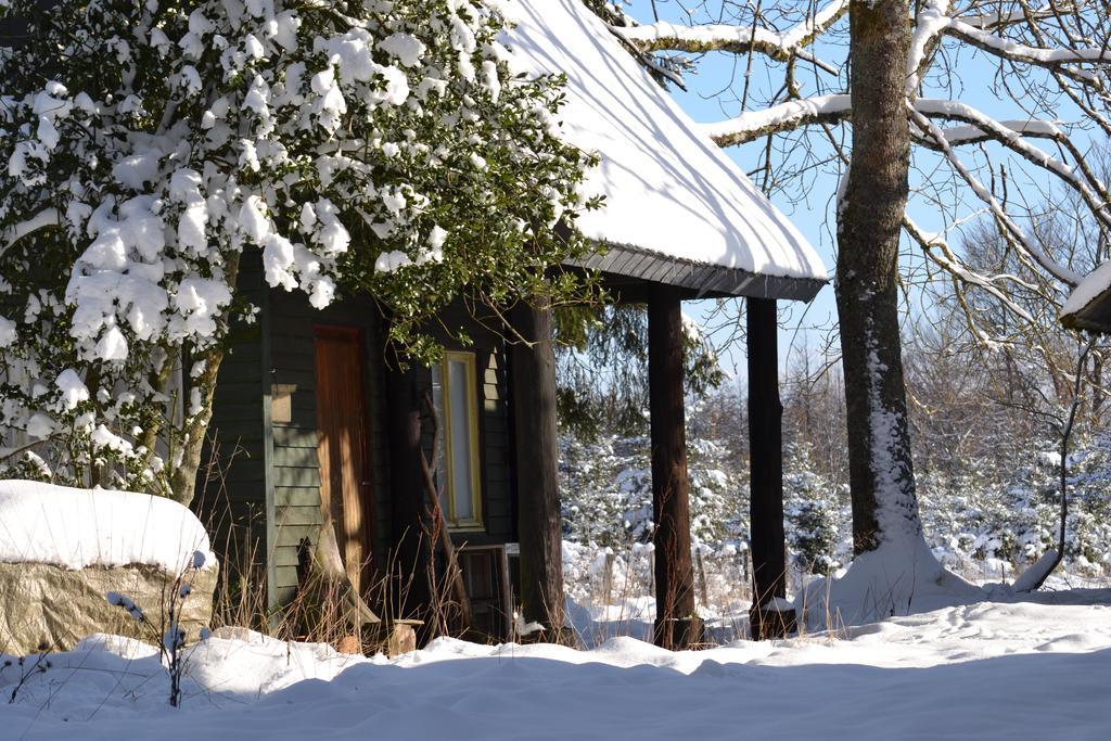 Homestay Le Relais Du Moustier *